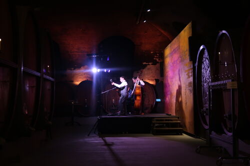 Diknu Schneeberger Trio im Residenzweinkeller © Kathrin Belke